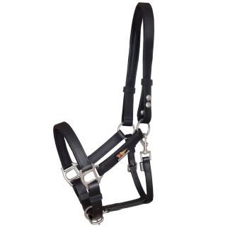 Equilibrium  Stellar Headcollar Black