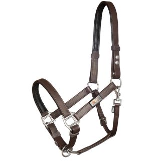 Equilibrium  Stellar Headcollar Brown