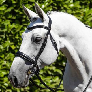 Premier Equine Verdura Anatomic Snaffle Bridle