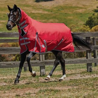 WeatherBeeta ComFiTec Classic Lite Combo Turnout Rug 0g Red