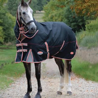 WeatherBeeta ComFiTec Premier Therapy-Tec Medium Turnout Rug 220g Black