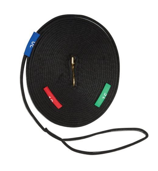 Kincade Two Tone Lunge Line With Circle Markers