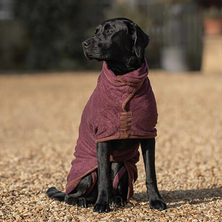 Dog Drying Coat