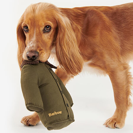 Barbour Jacket Dog Toy