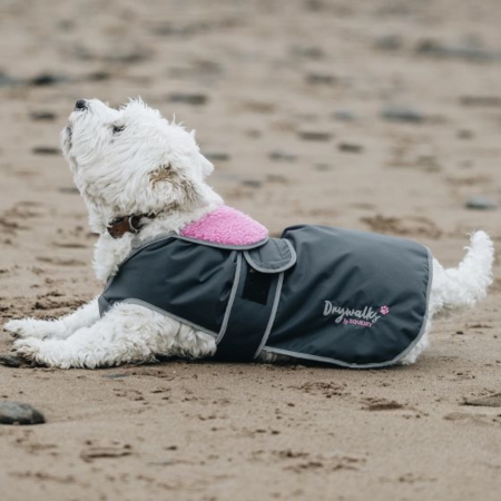 White dog wearing the Drywalks dog coat on the beach